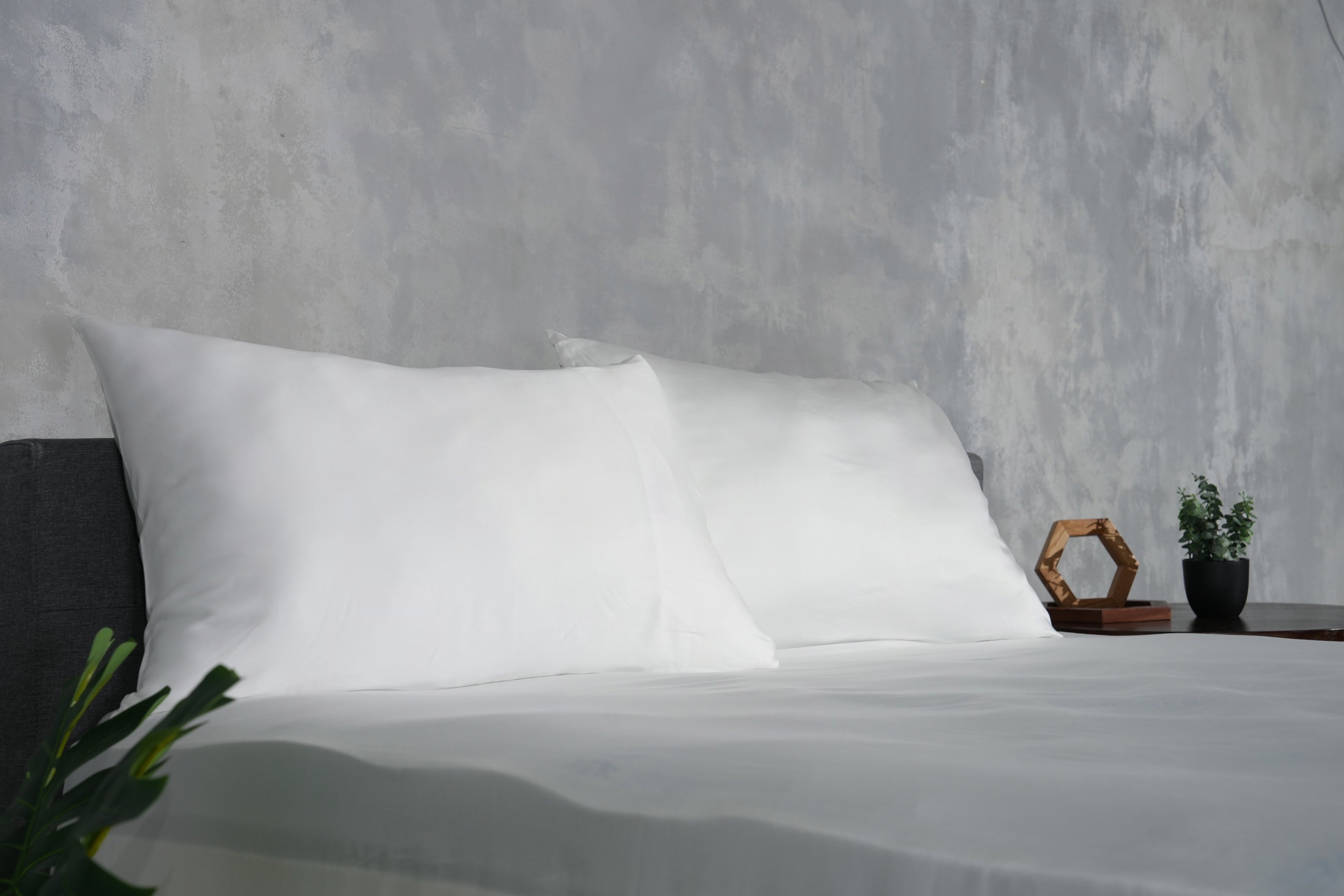 Austrian Tencel Bed Sheet Set